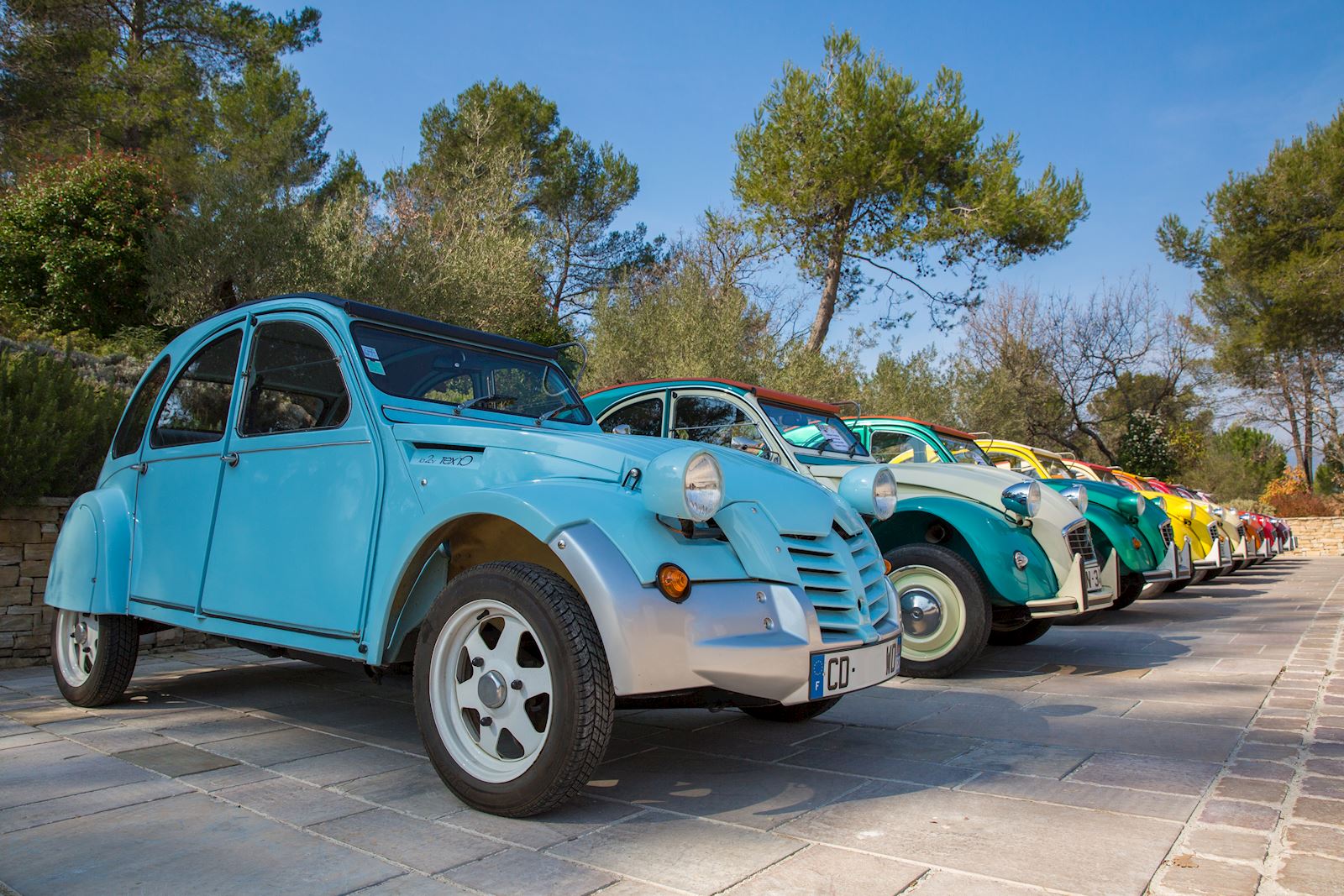 Exposition de 2cv au coeur de Terre Blanche