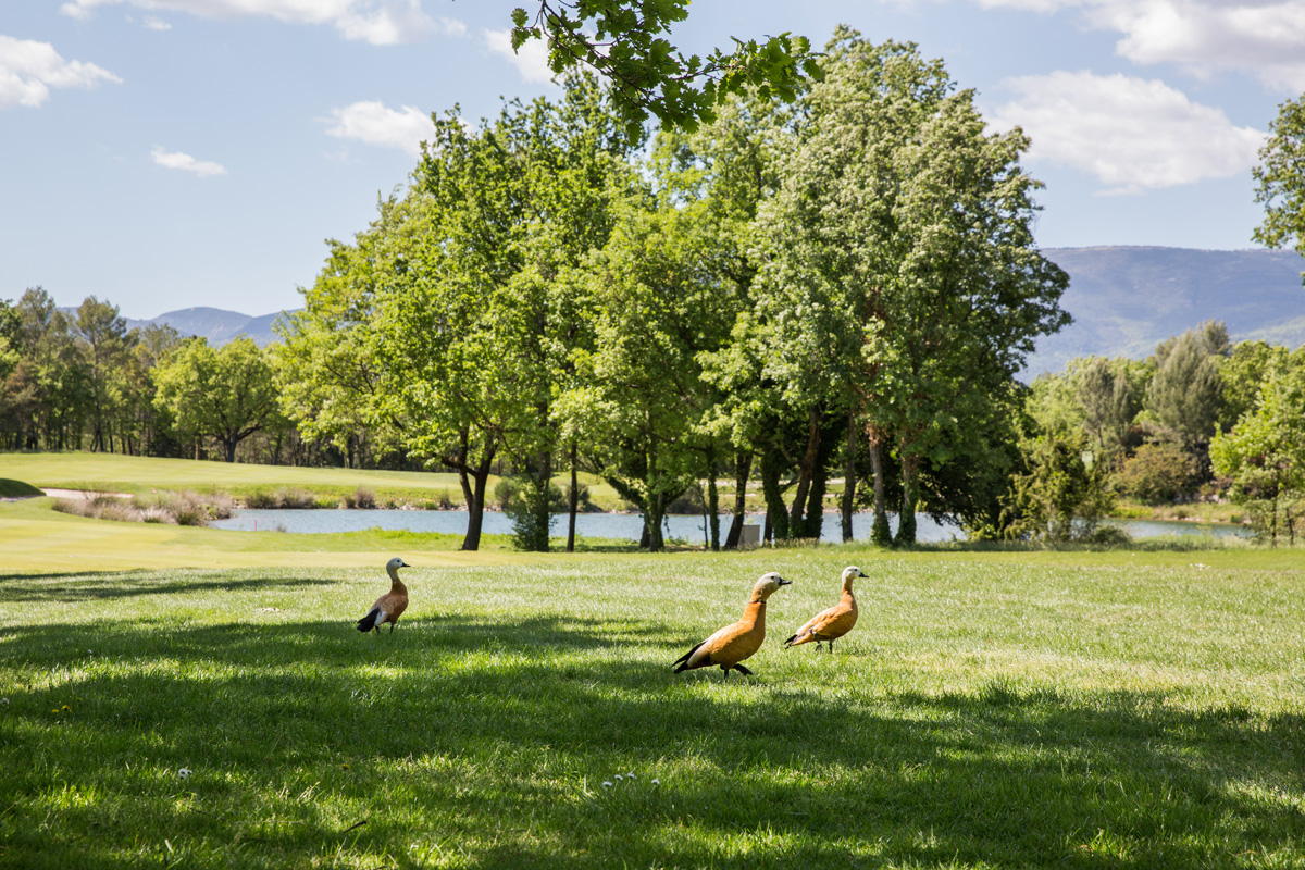 Vue parcorus Golf Terre Blanche