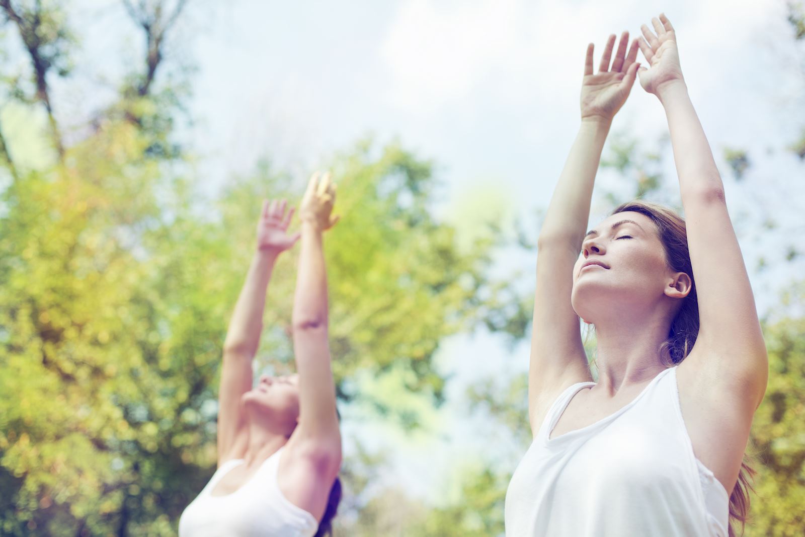 Cours de Yoga au coeur de Terre Blanche